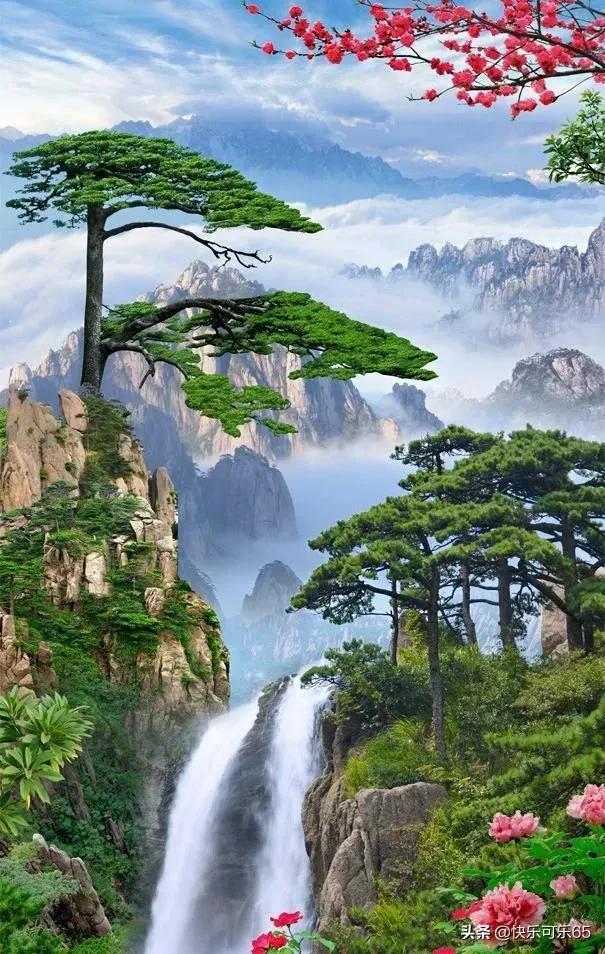 虫虫助手下载