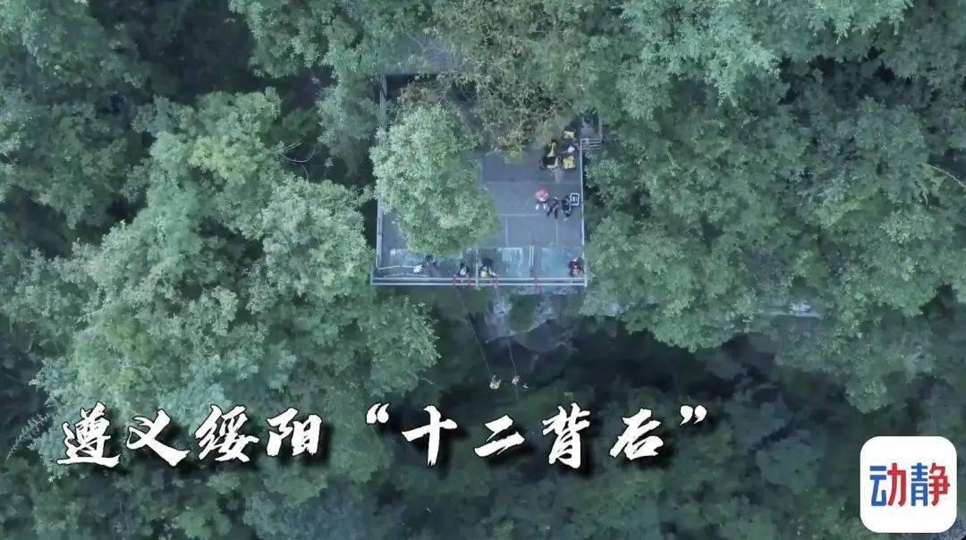 博主：卡纳瓦罗同意首期只拿20万，反观某些功勋球员一刀刀往内捅