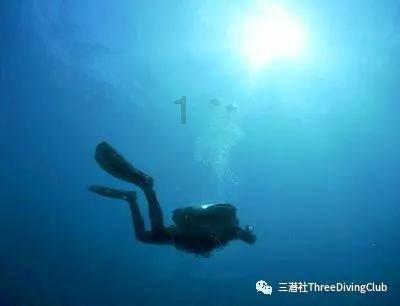 救援小肥兔