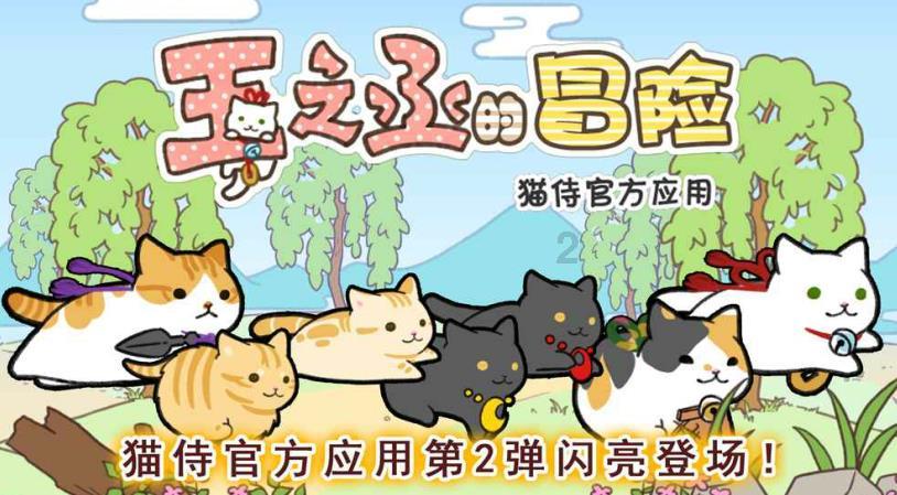 射击红色鸟