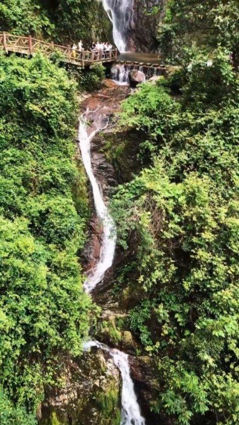 深海鱼救援