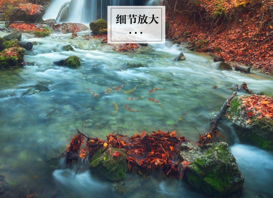 塔防三国志