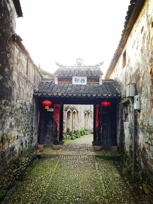 植物大战僵尸3