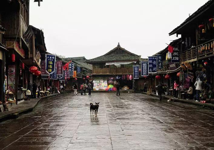 of和for的用法和区别？游戏画面